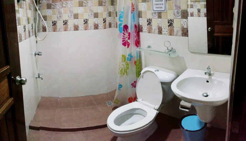 Shower, Toilet, Bathroom, bidet