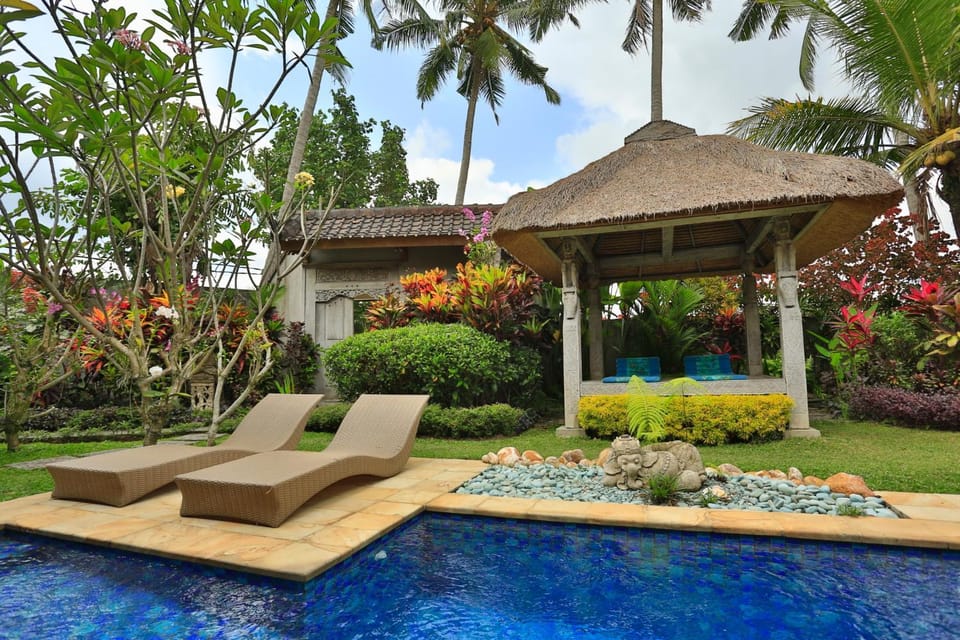 Natural landscape, Garden, Swimming pool