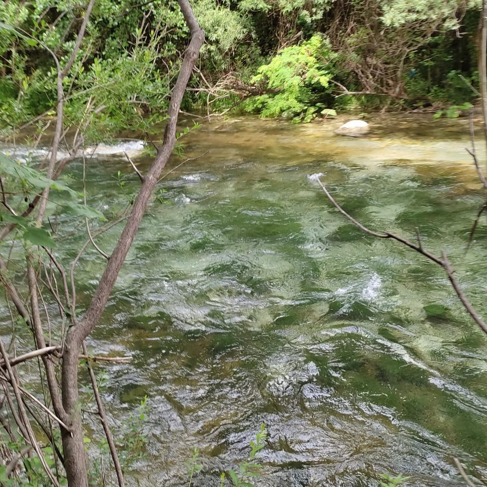 River view