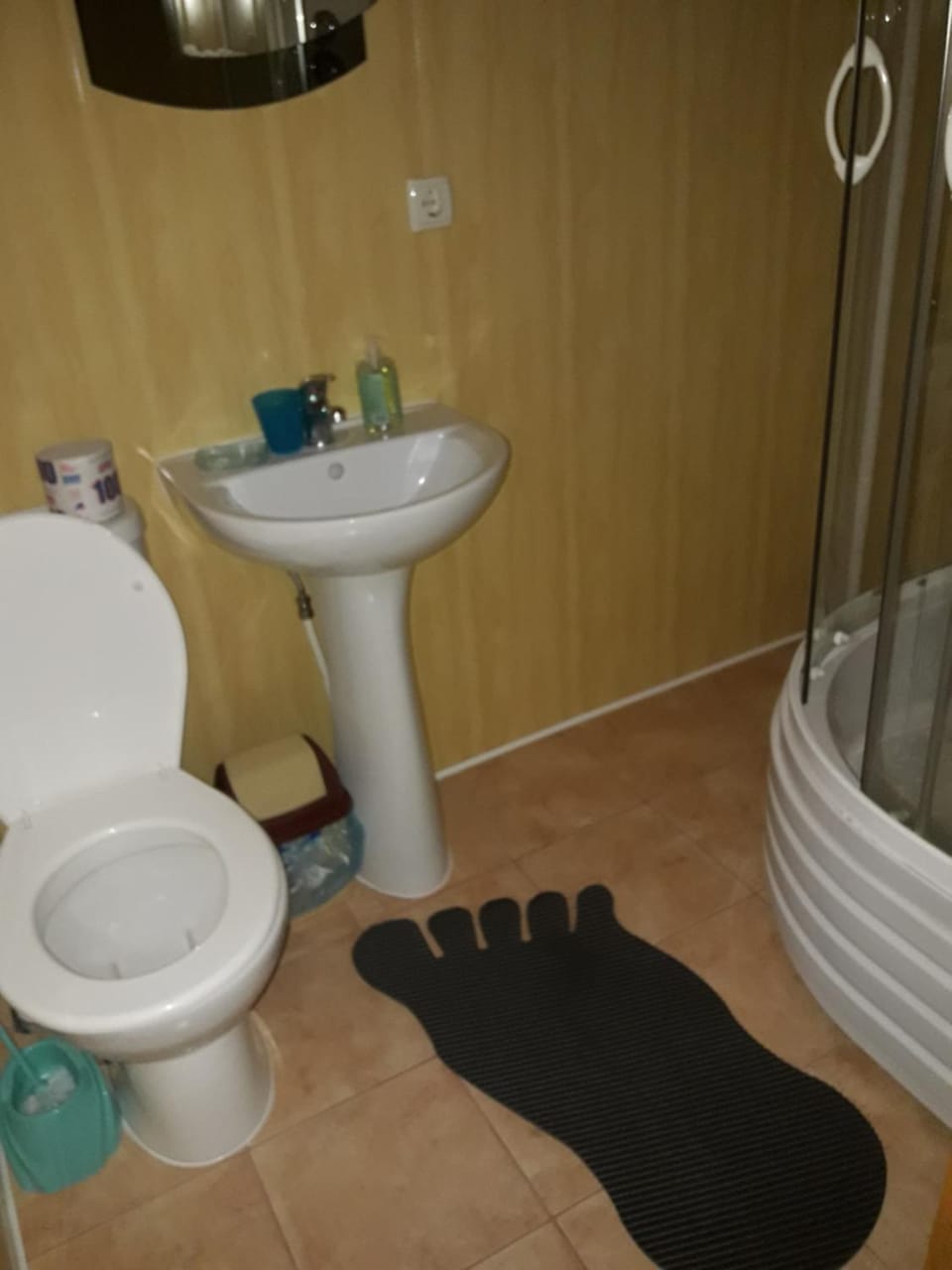 Toilet, Bathroom, Photo of the whole room