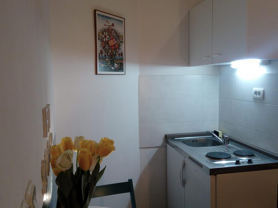 Apartment Optimist/City Break Apartment in Split