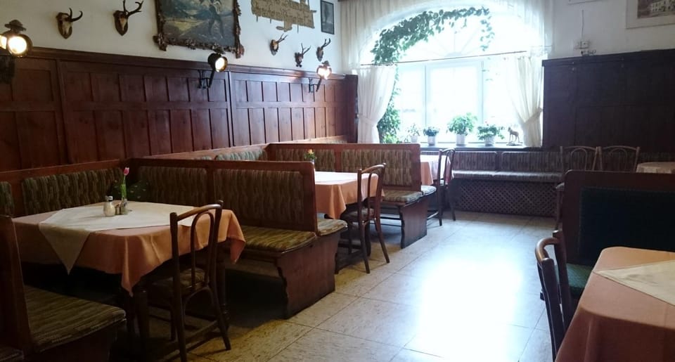 Restaurant/places to eat, Decorative detail, Dining area