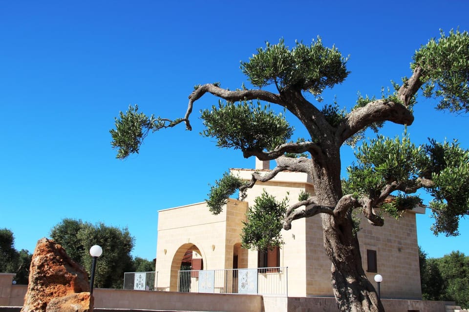 La Dimora negli ulivi Bed and Breakfast in Province of Taranto