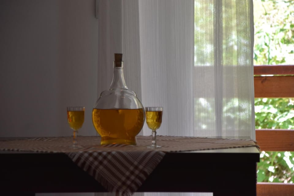 Vila Natasa Apartment in Serbia