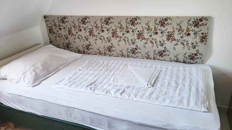 Hotel Balaton Fonyód Hotel in Hungary