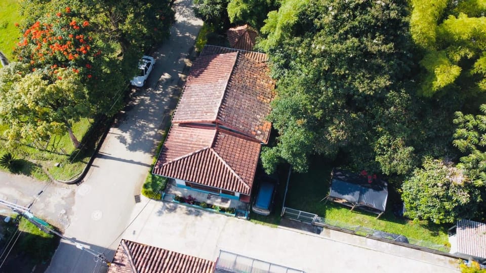 Property building, Spring, Natural landscape, Bird's eye view, Garden view