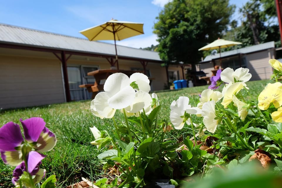 Property building, Spring, Day, Garden, Garden view