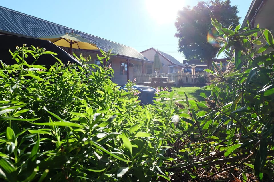 Property building, Spring, Day, Garden, Garden view