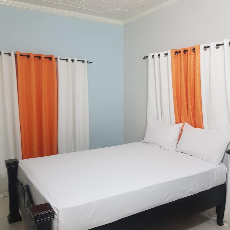 The Braemar Suite III New Kingston Apartment in Kingston