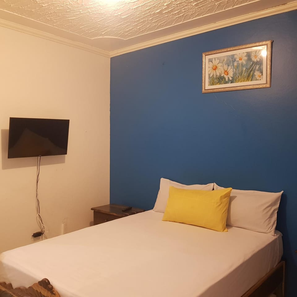 The Braemar Suite III New Kingston Apartment in Kingston