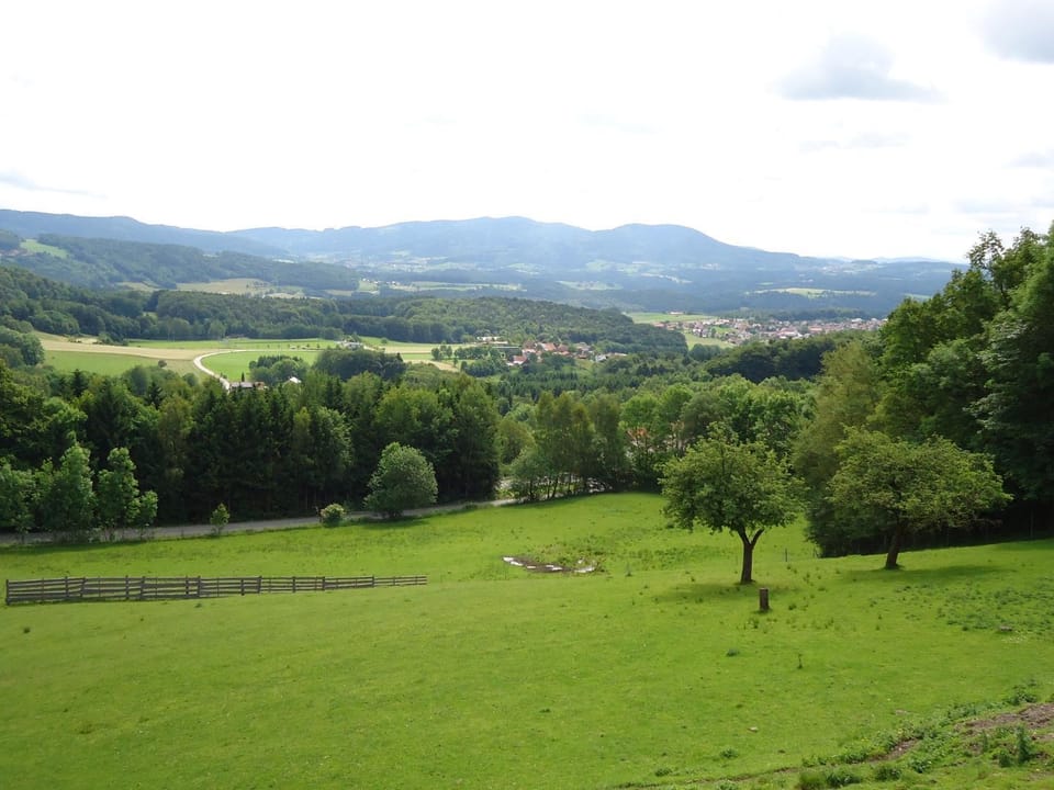 Natural landscape