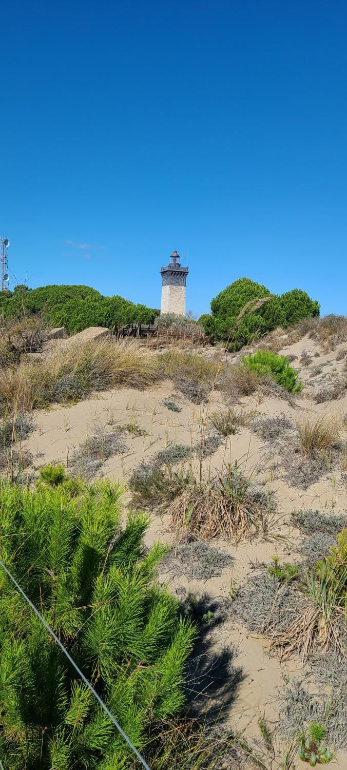 Nearby landmark, Natural landscape