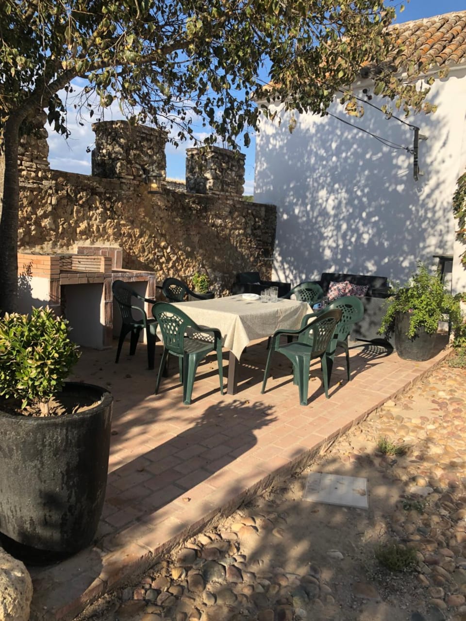 Patio, Garden
