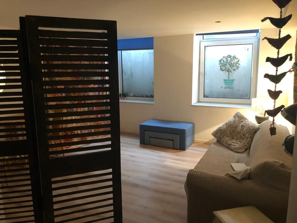 Brugman Apartment in Ixelles