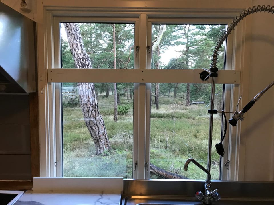 Communal kitchen