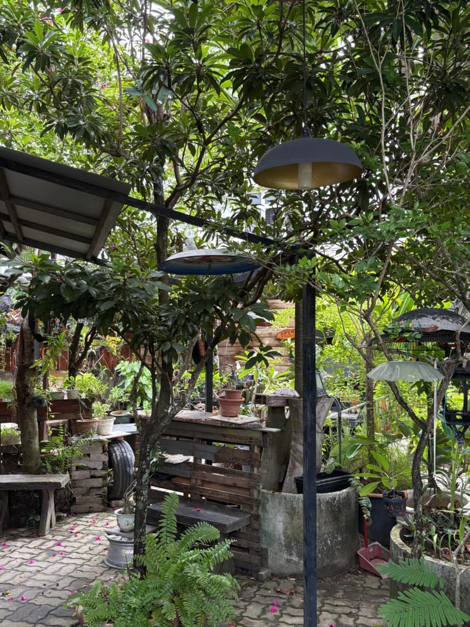 Garden view