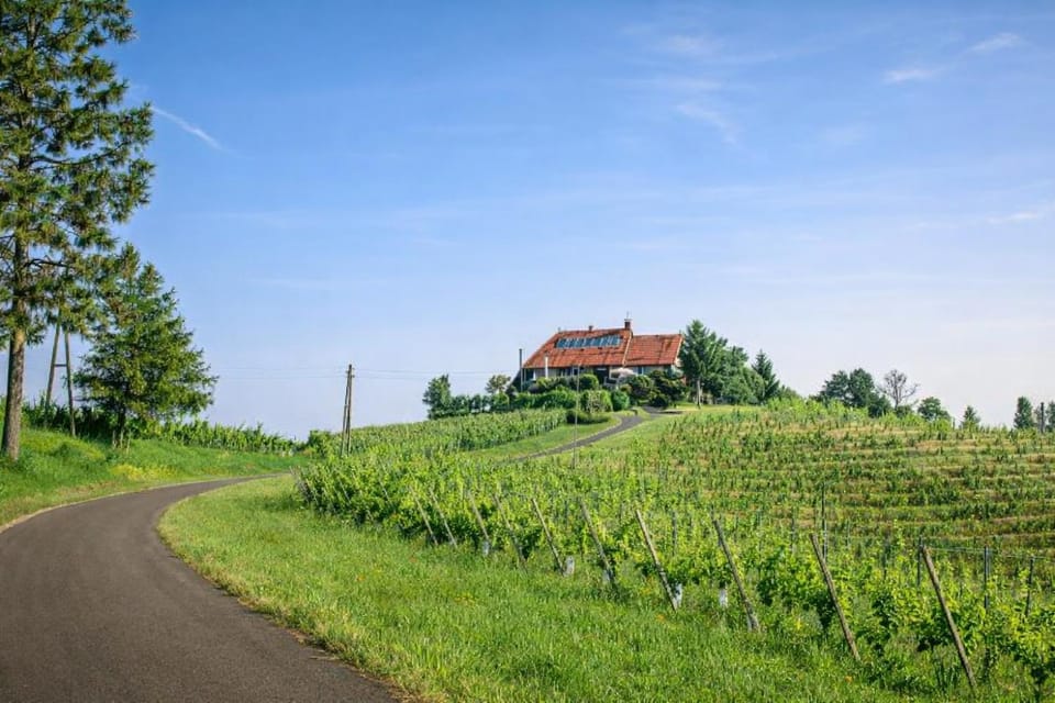 Property building, Day, Natural landscape