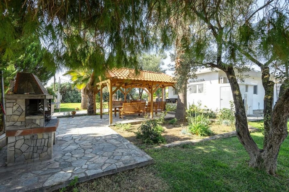 Garden, Garden, Garden view