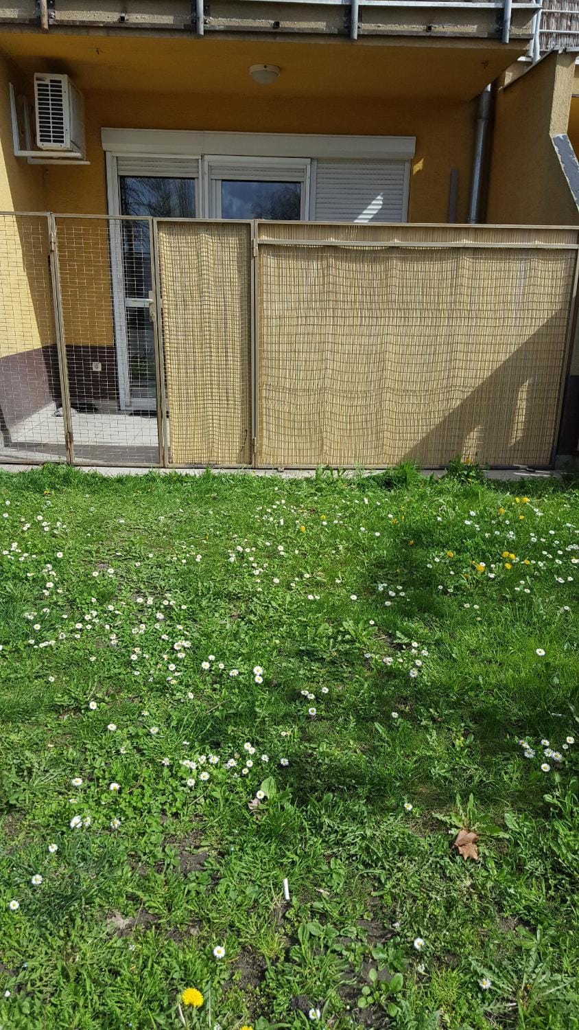 Garden, Balcony/Terrace