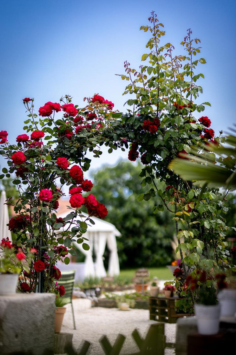 Villa Nada Bed and Breakfast in Lovran