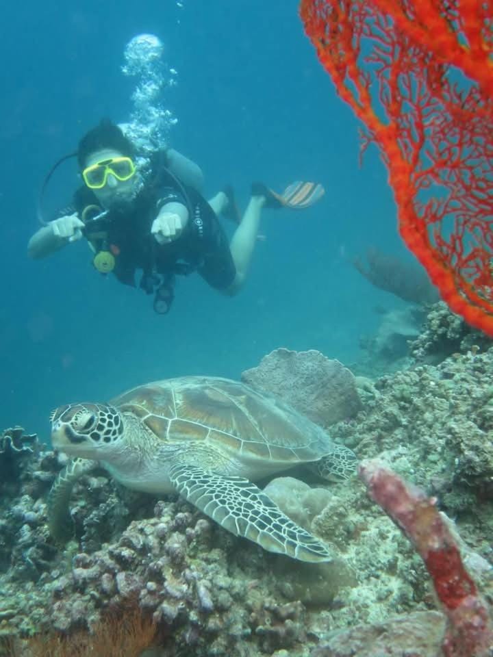 Diving