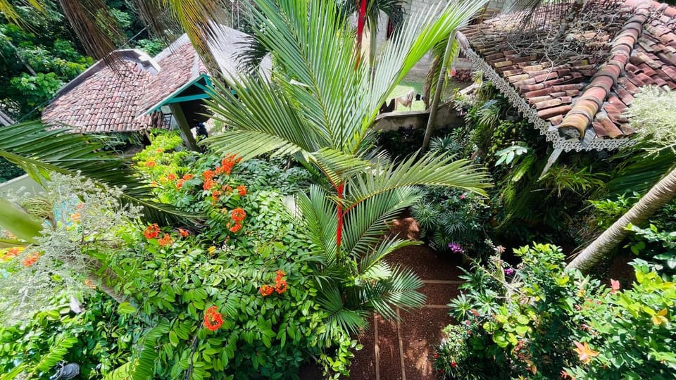 Bouganvilla House Villa in Southern Province