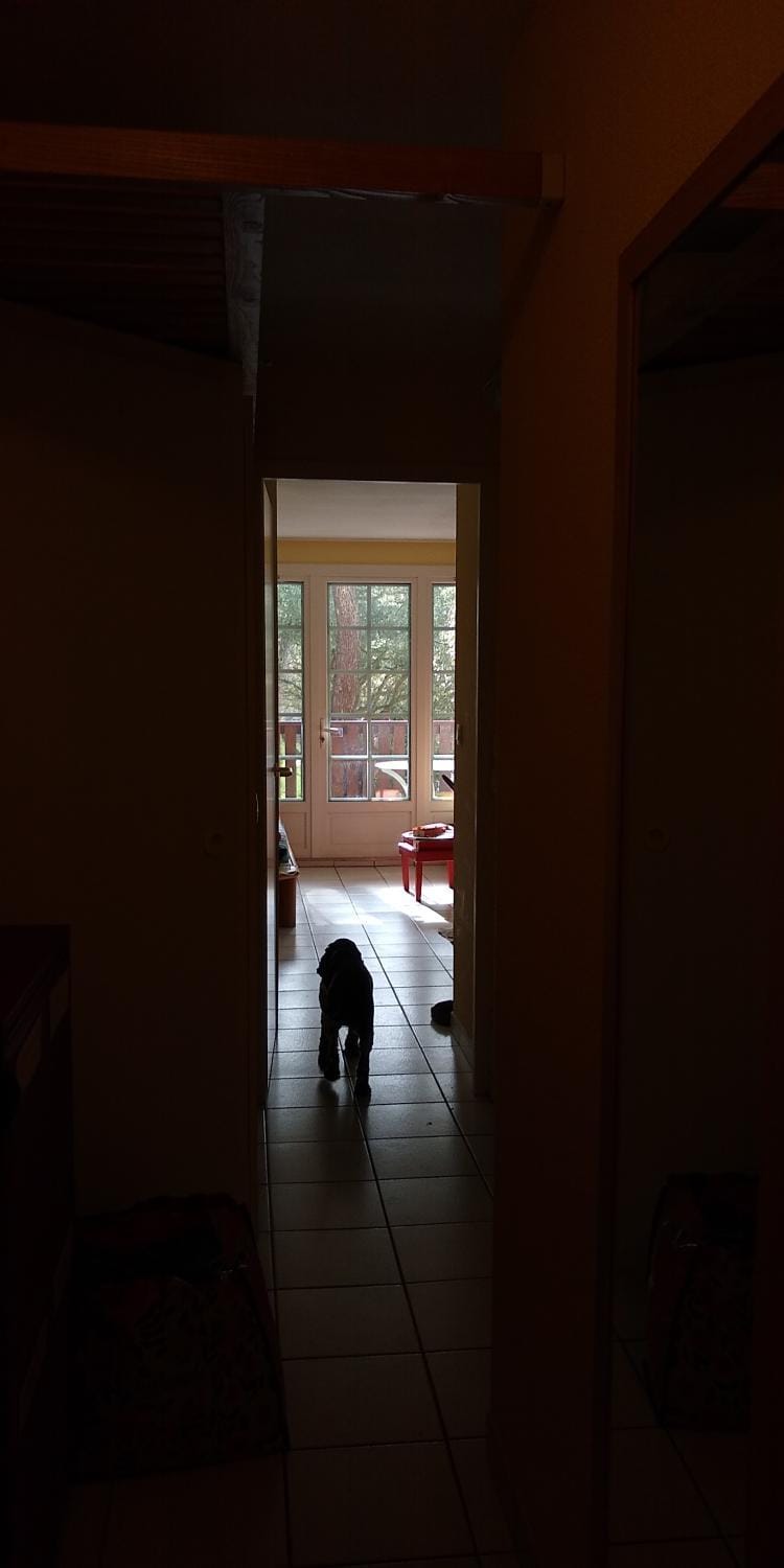 Albertine appt 112 Apartment in Moliets-et-Maa