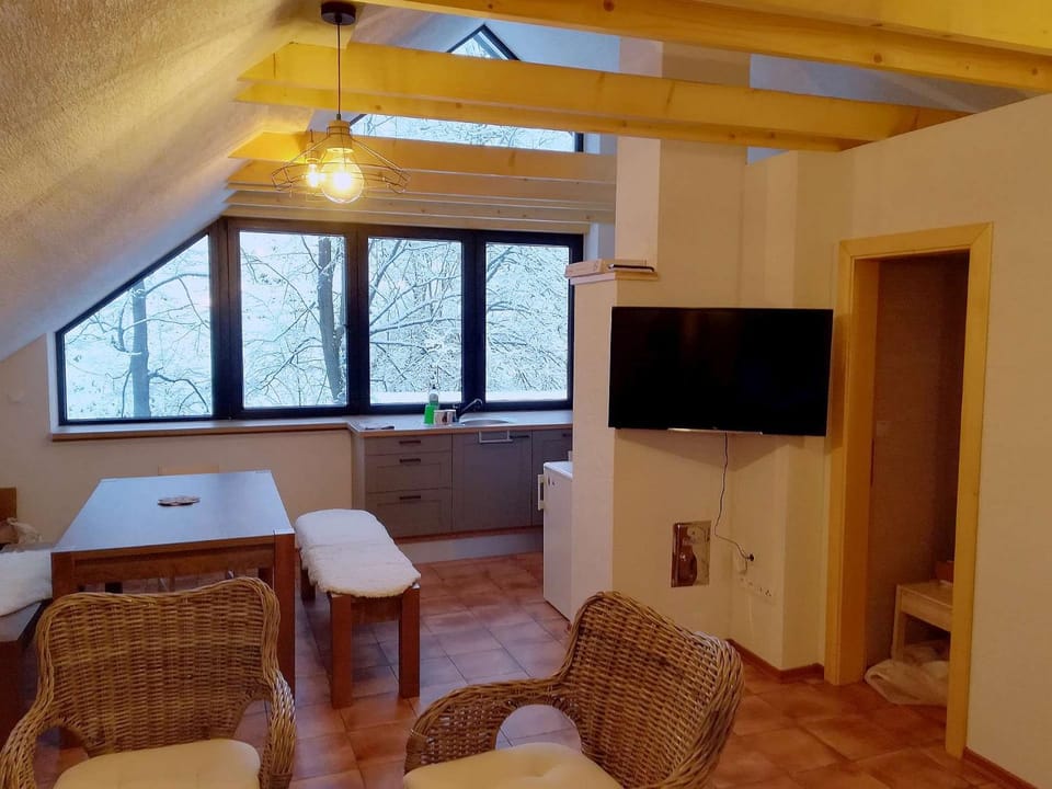Communal lounge/ TV room, TV and multimedia, Kitchen or kitchenette, Living room, Seating area, Dining area