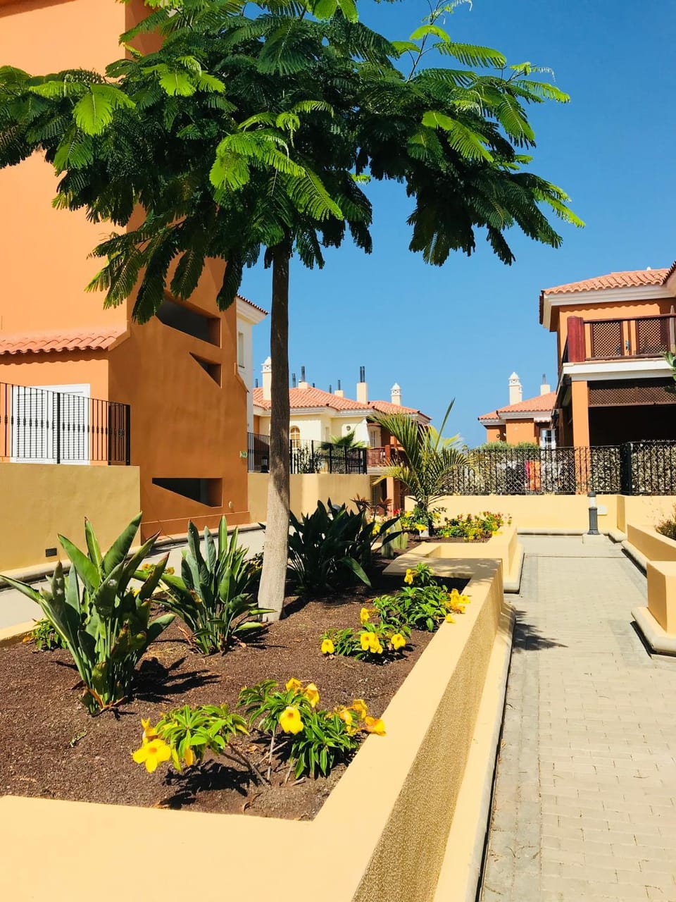 Property building, Patio