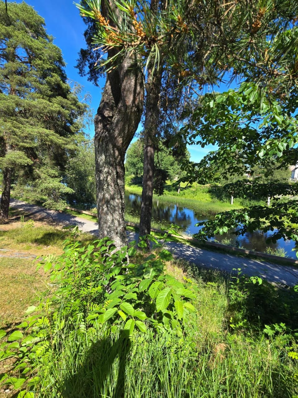Day, Lake view