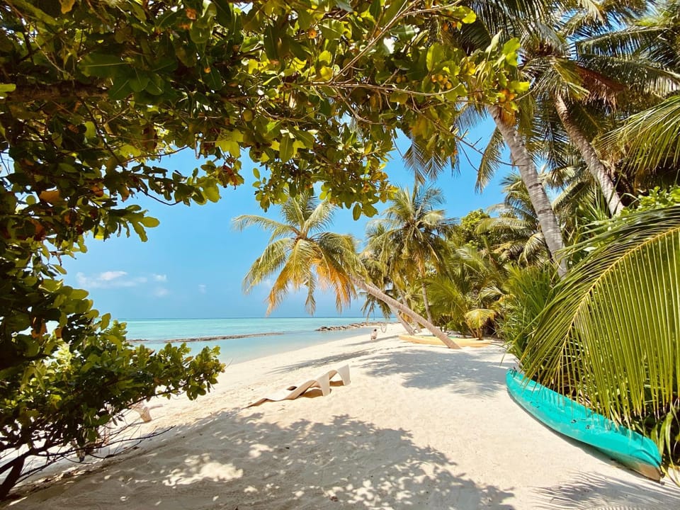 Natural landscape, Beach