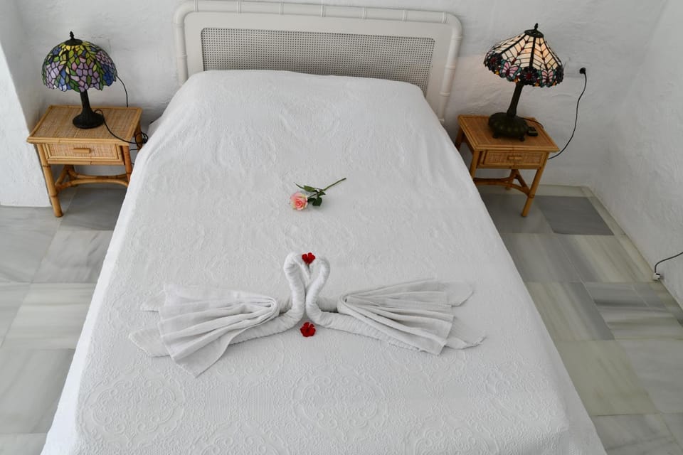 Sea shells at Bahia Dorada House in Costa del Sol