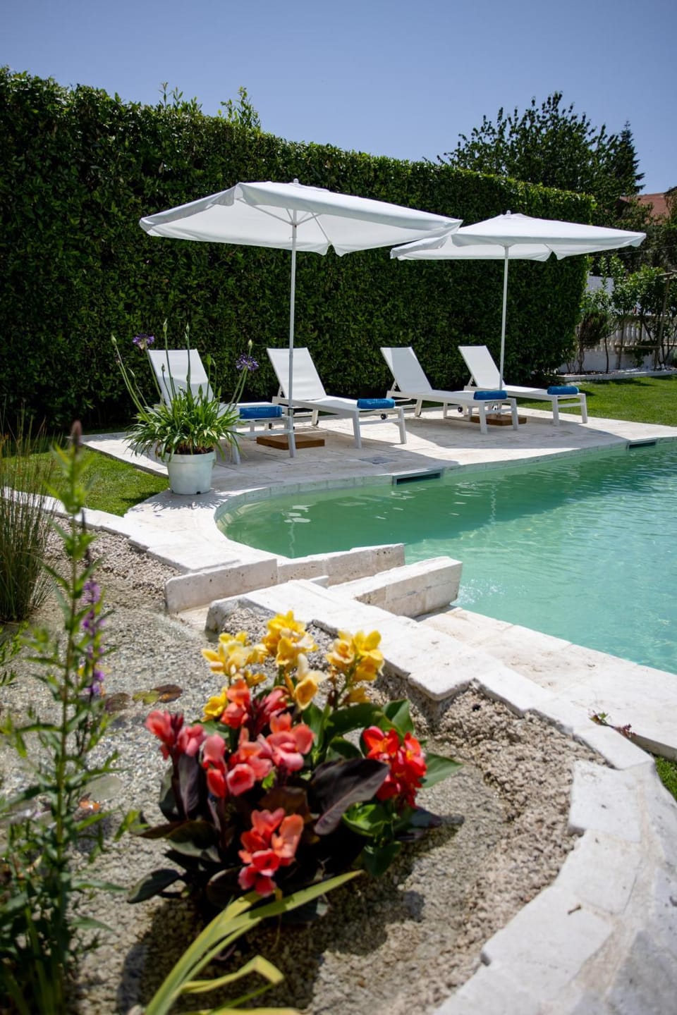 Day, Garden, Pool view, Swimming pool, sunbed