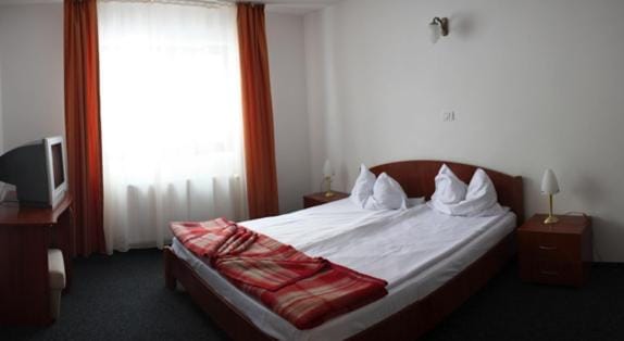 Hotel Paltinis Hotel in Romania