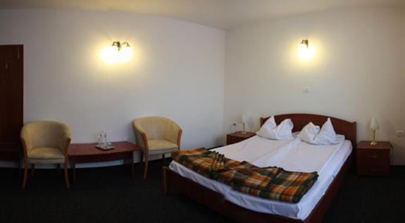 Hotel Paltinis Hotel in Romania