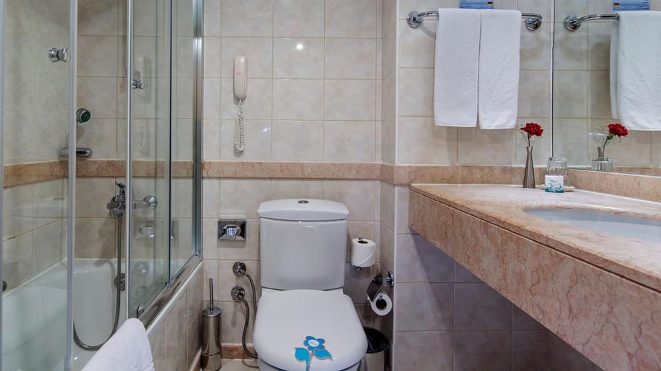 Toilet, Bathroom, Bath