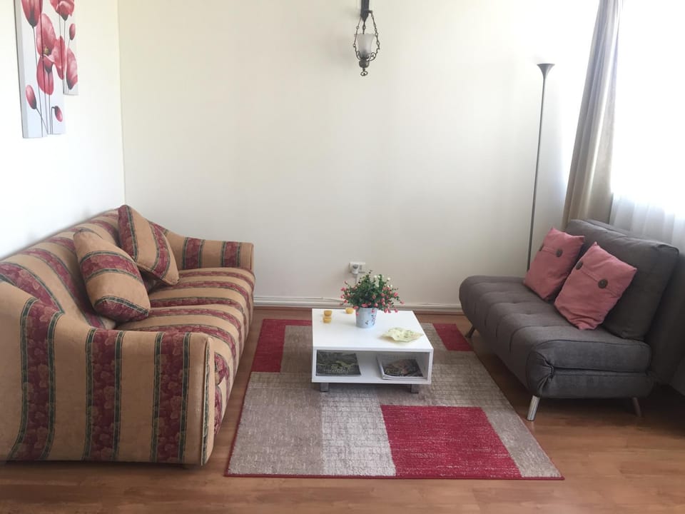 Departamento 8 Norte, Torre del Mar Apartment in Vina del Mar