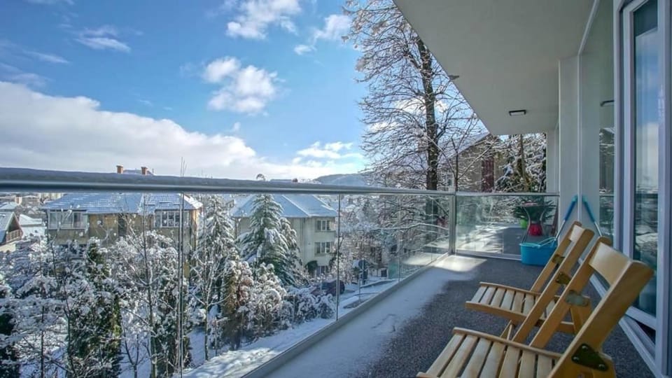 Day, Natural landscape, Winter, View (from property/room), Balcony/Terrace, Balcony/Terrace, Mountain view