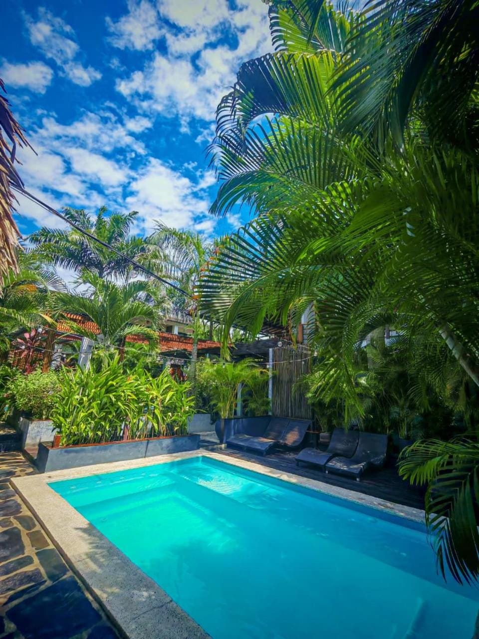 Garden, Swimming pool