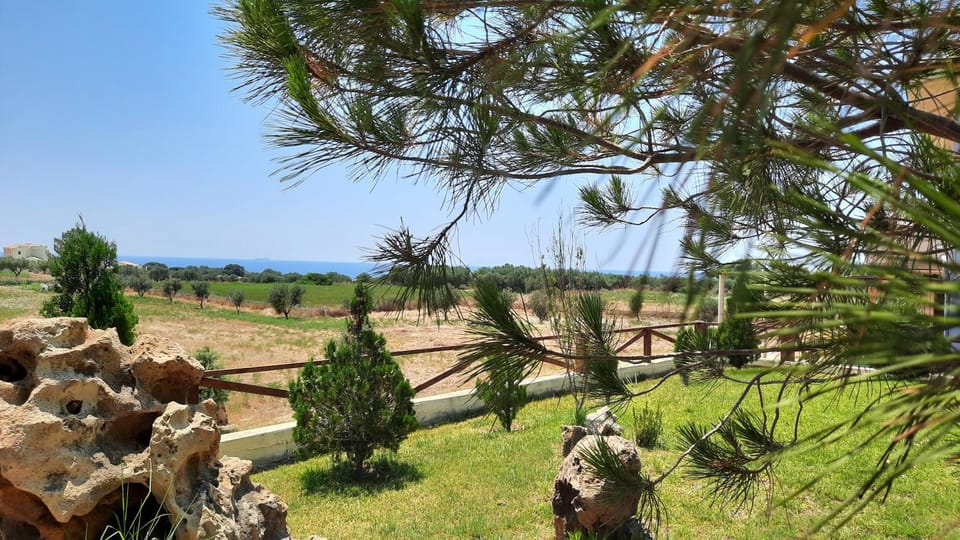 Natural landscape, Garden, Garden view, Sea view