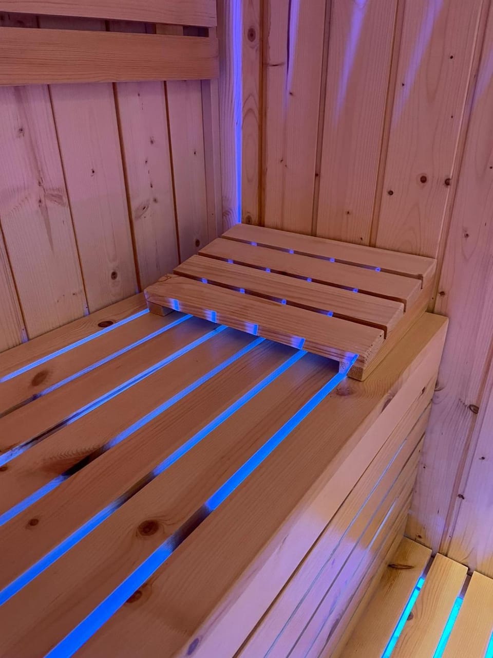 Sauna, Spa and wellness centre/facilities