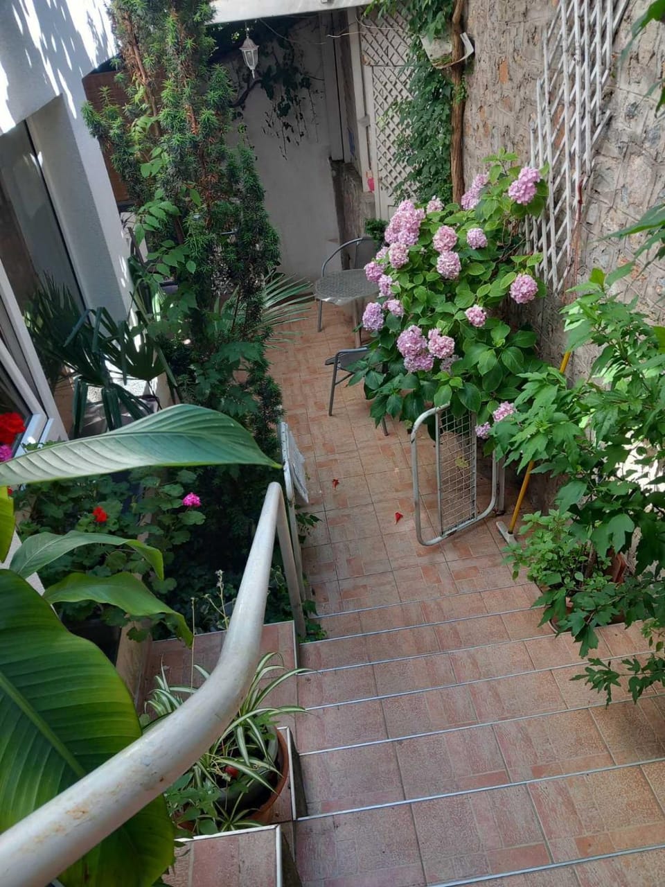 Vila Kosta City Center Port Bed and Breakfast in Ohrid