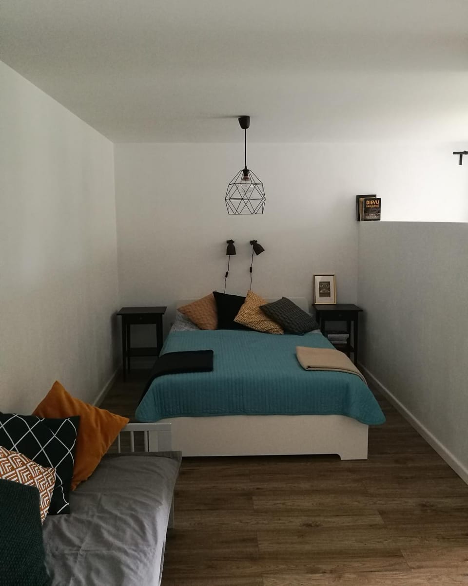 Dru-Sky Apartment in Lithuania