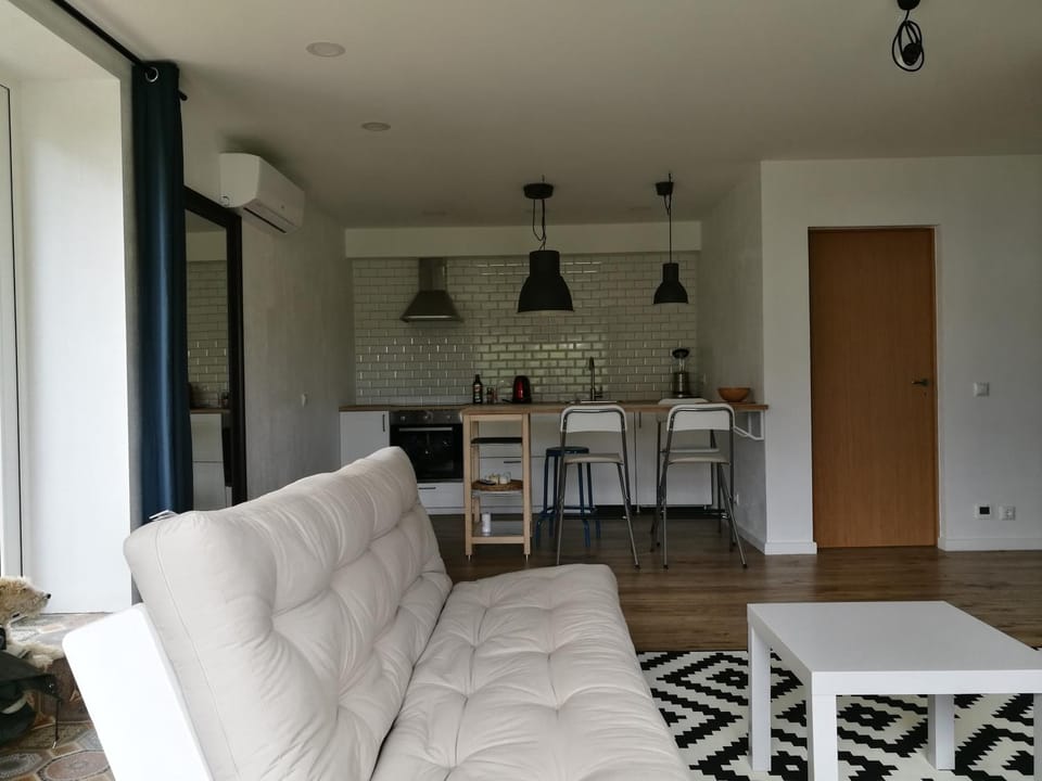 Dru-Sky Apartment in Lithuania