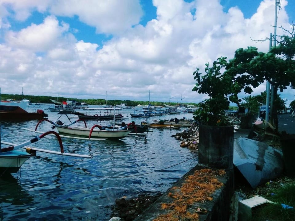 Turtle Island Homestay Vacation rental in Denpasar