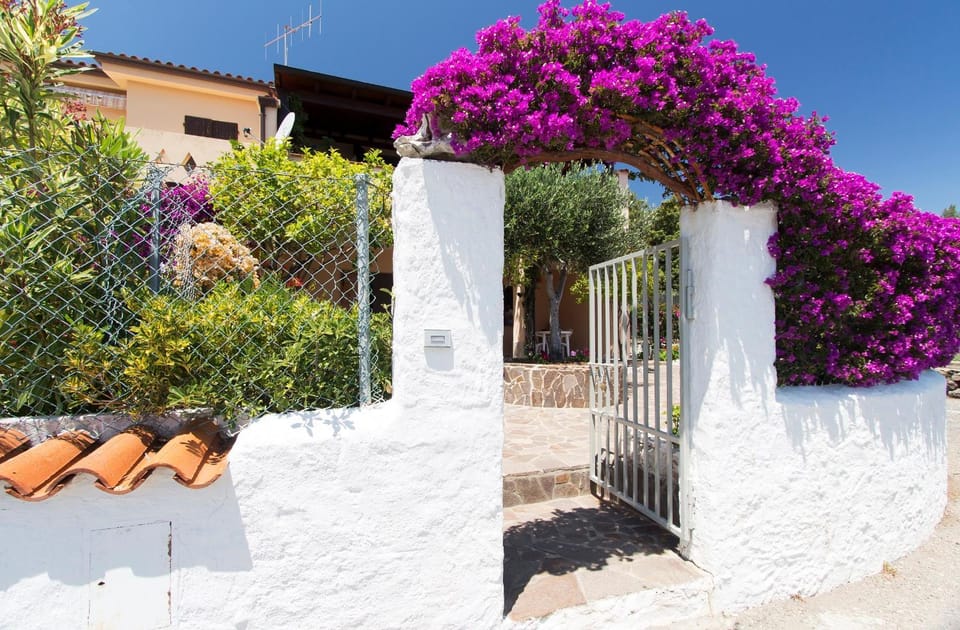 Property building, Patio, Facade/entrance, Spring, Garden, Garden view