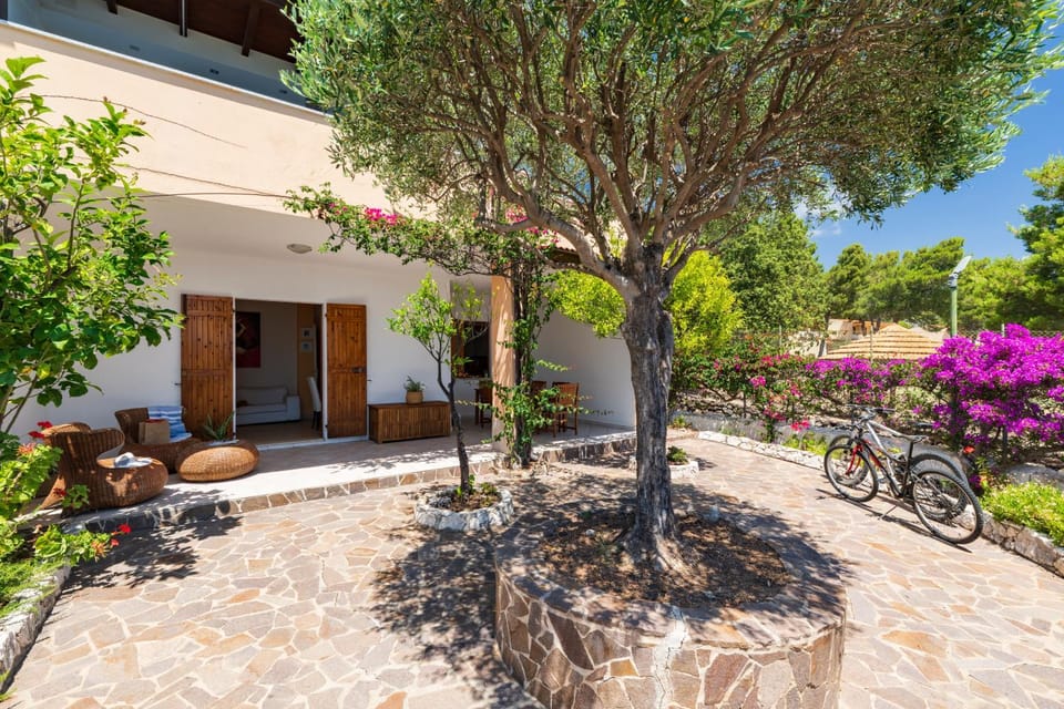 Property building, Spring, Day, Garden, Cycling, Cycling, Garden view