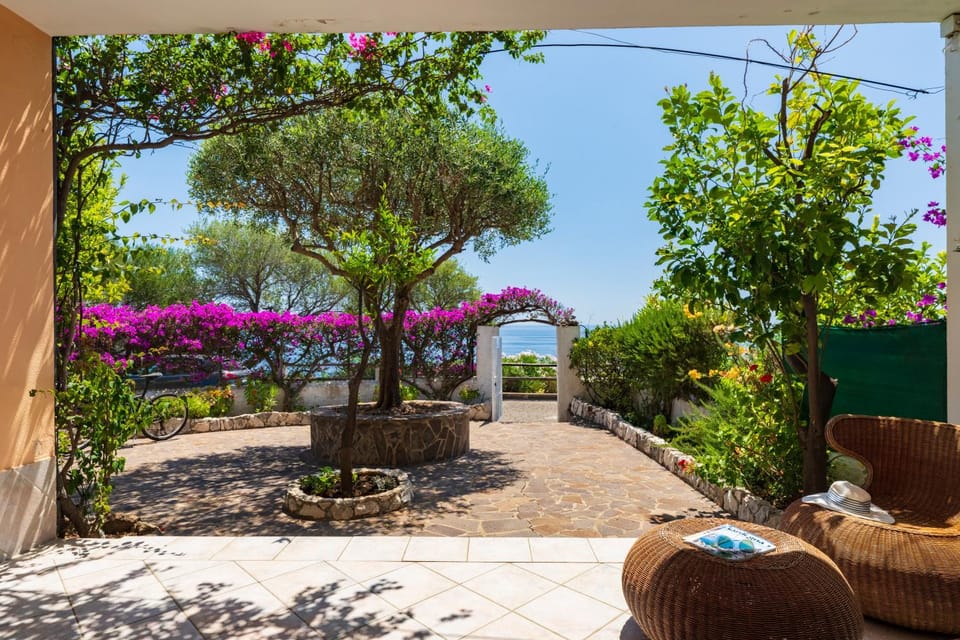 Patio, Spring, Day, Fishing, Fishing, Garden, Hiking, Hiking, Cycling, Cycling, Garden view