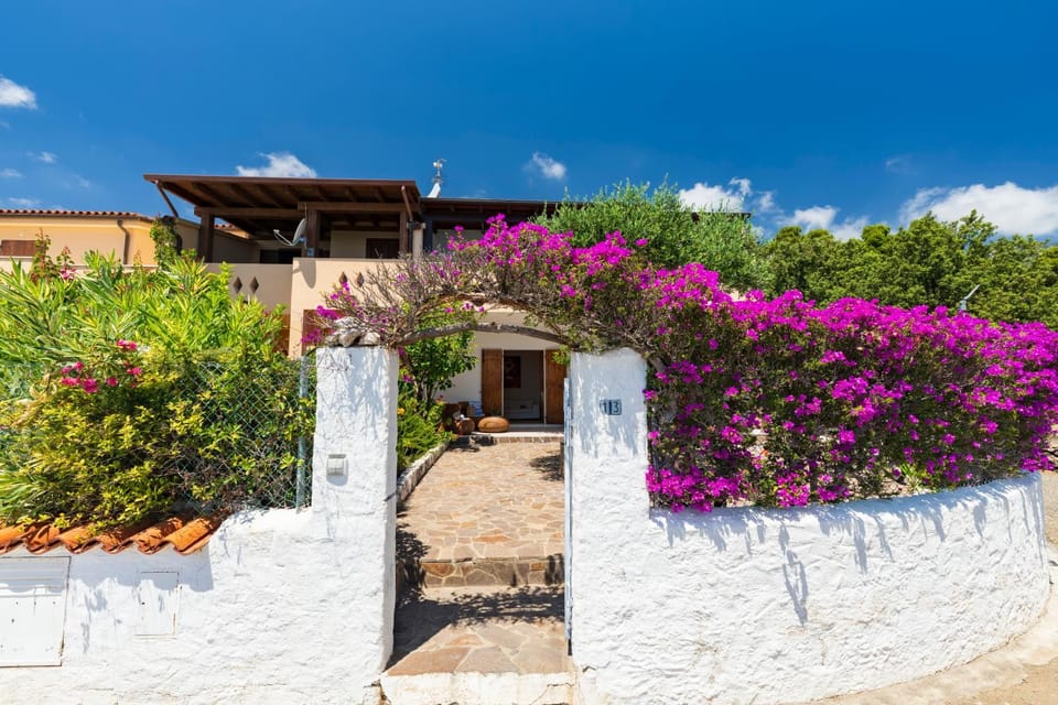 Property building, Spring, Day, Garden, Garden view