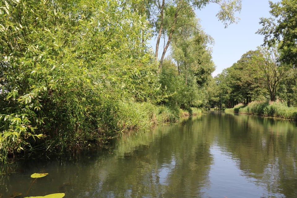 Nearby landmark, Natural landscape